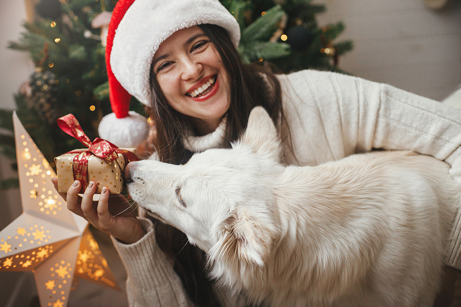 Why is it Essential To See Your Dentist in December?